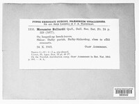 Image Associated With the Occurence